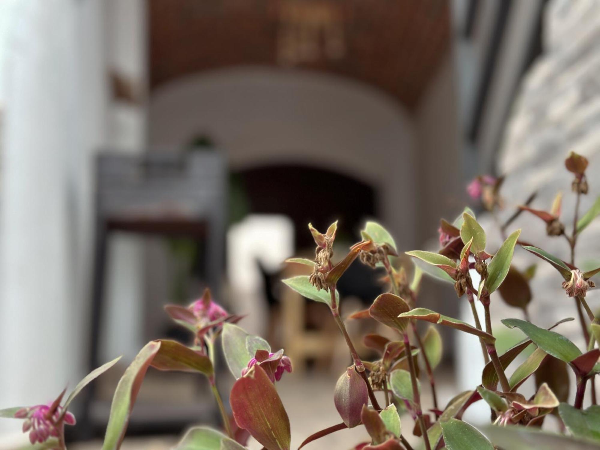 Casa Rural Alcocer Deluxe L Privacidad E Intimidad Puebla de Alcocer 外观 照片